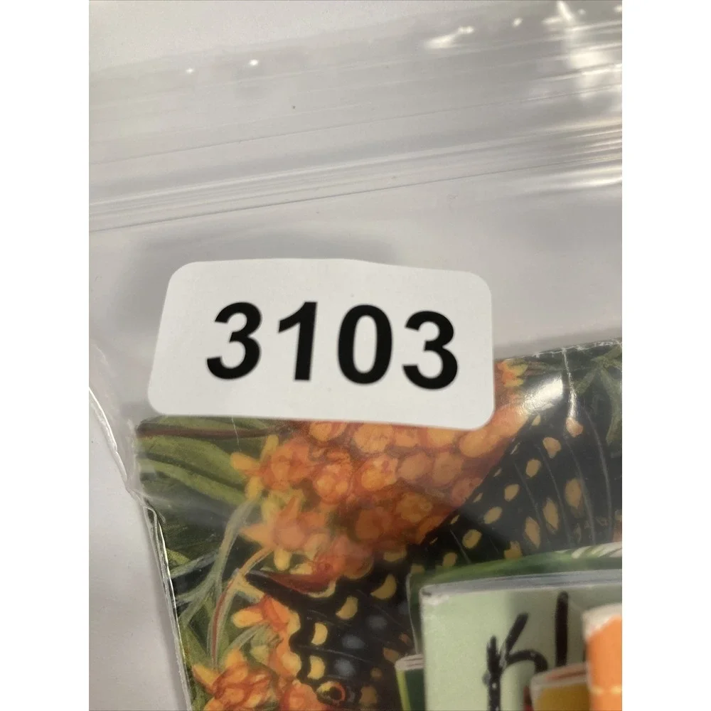 13‎ Bug  Books Classroom Homeschool Tutoring Non-Fiction/Informational Library